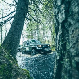 SUV Safaris - Forest Water