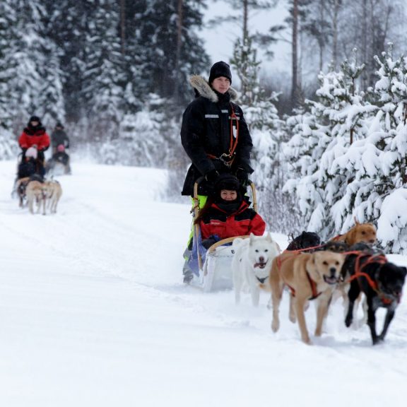 Husky Safaris Husky Safaris
