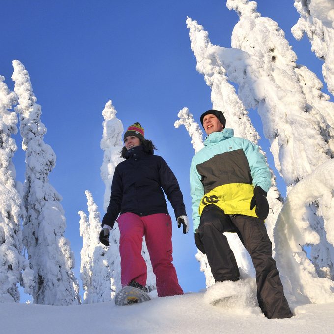 vuokatti-4 vuokatti-4